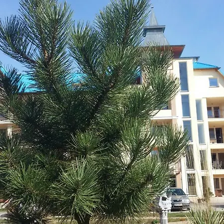 Apartment Blue Mare Mes Lukecin