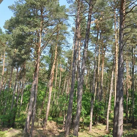 Apartament Blue Mare Mes