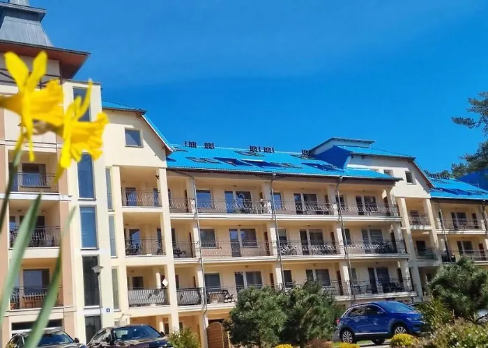 Blue Mare Mes Łukęcin