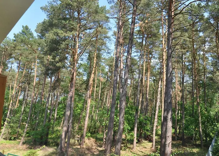 Apartament Blue Mare Mes